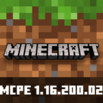 Minecraft 1.16.200