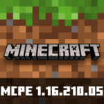 Minecraft 1.16.210