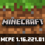 Minecraft 1.16.221