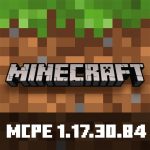 Minecraft 1.17.30