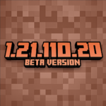 Minecraft 1.21.110.20